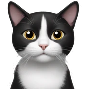 black and white cat sticker