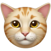 Cat cat sticker