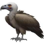 Vulture sticker