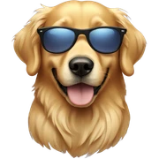 Golden retriever wearing sunglasses  sticker