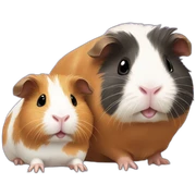 Guinea pig accompanied by baby guinea pig  sticker