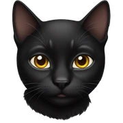 Black cat  sticker