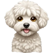 maltipoo dog sticker