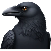 CROW sticker