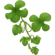 vines sticker