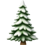  actual white fir christmas tree isolated.  sticker