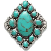 Western silver turquoise jewelry  sticker