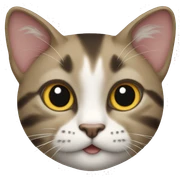 Cat  sticker