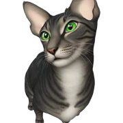 realistic cat with green eyes sticker