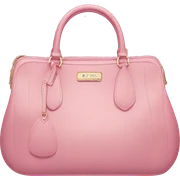 Miu miu bag  sticker