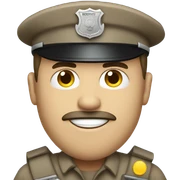 Code enforcement officer  sticker