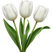 white tulips sticker