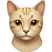 Beige cat  sticker