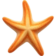 Starfish sticker