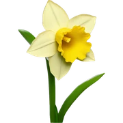 daffodil sticker