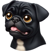 Black pug sticker