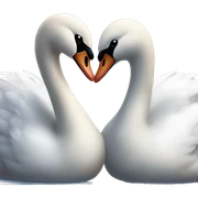 Swan couple love sticker
