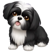 black shih tzu sticker