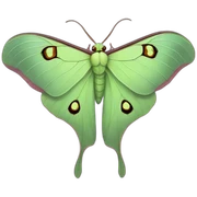 Luna Moth  sticker