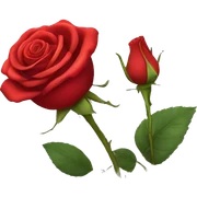 red rose sticker