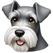schnauzer white sticker