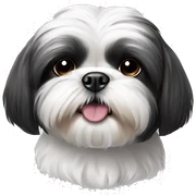 Black and white shih tzu sticker