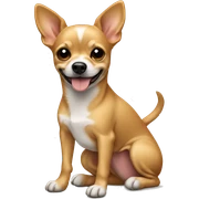 tan terrier Chihuahua mix with wheels sticker