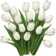 White tulips sticker