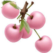 pale pink cherry sticker