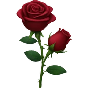 Dark red rose  sticker