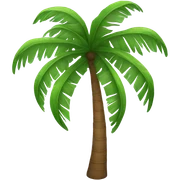 Palm tree sticker