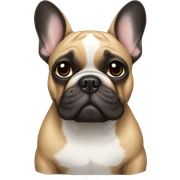 French bulldog  sticker
