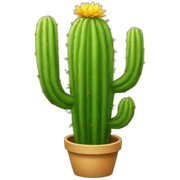 Cactus jaune sticker