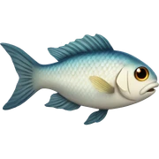 Fish sticker