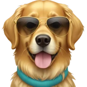 Golden retriever wearing sunglasses  sticker