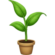 A plant sticker