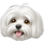 maltese sticker