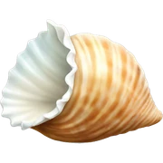 Seashell sticker