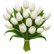 white tulip bouquet  sticker