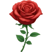 red rose sticker