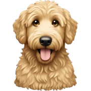 Golden doodle sticker