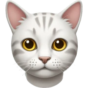 Cat  sticker