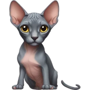 Sphynx sticker