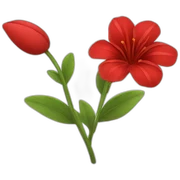 red flower sticker