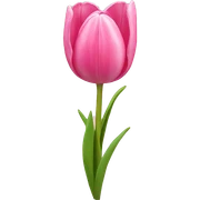 Pink tulips with a bow sticker