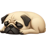 Pug sleeping  sticker