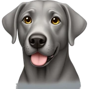 Grey lab sticker