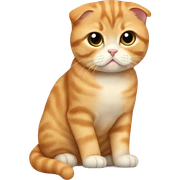 Ginger Scottish fold cat  sticker