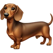 Dachshund  sticker