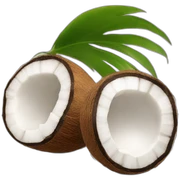 coconut sticker